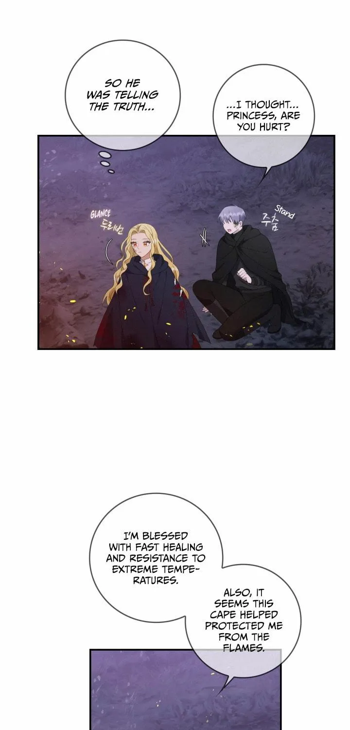 Two Sides of the Princess Chapter 15 page 38 - 