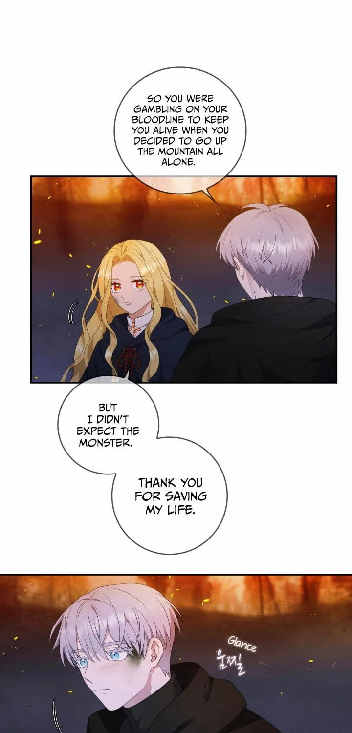 Two Sides of the Princess Chapter 15 page 45 - 