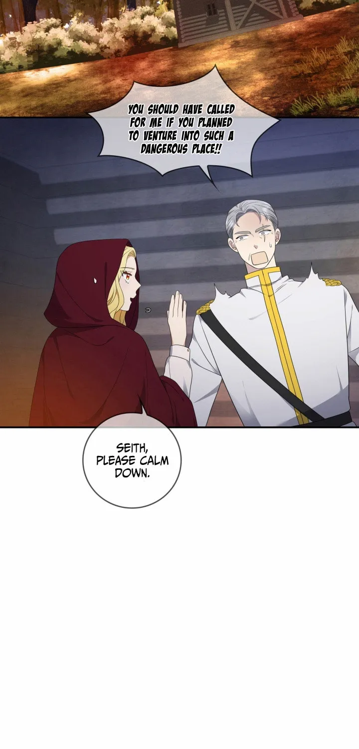 Two Sides of the Princess Chapter 16 page 30 - 