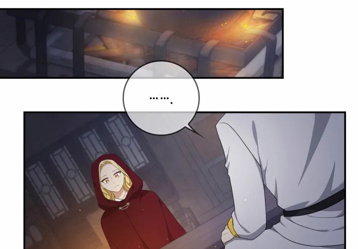 Two Sides of the Princess Chapter 16 page 31 - 