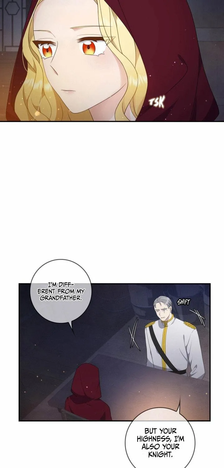 Two Sides of the Princess Chapter 16 page 38 - 