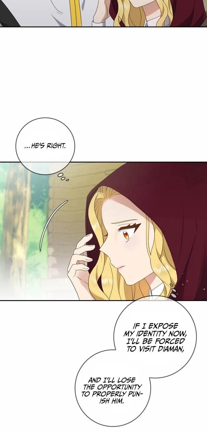 Two Sides of the Princess Chapter 17 page 45 - 