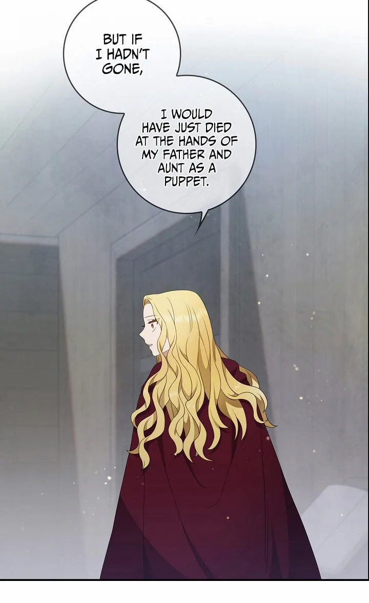 Two Sides of the Princess Chapter 18 page 14 - 