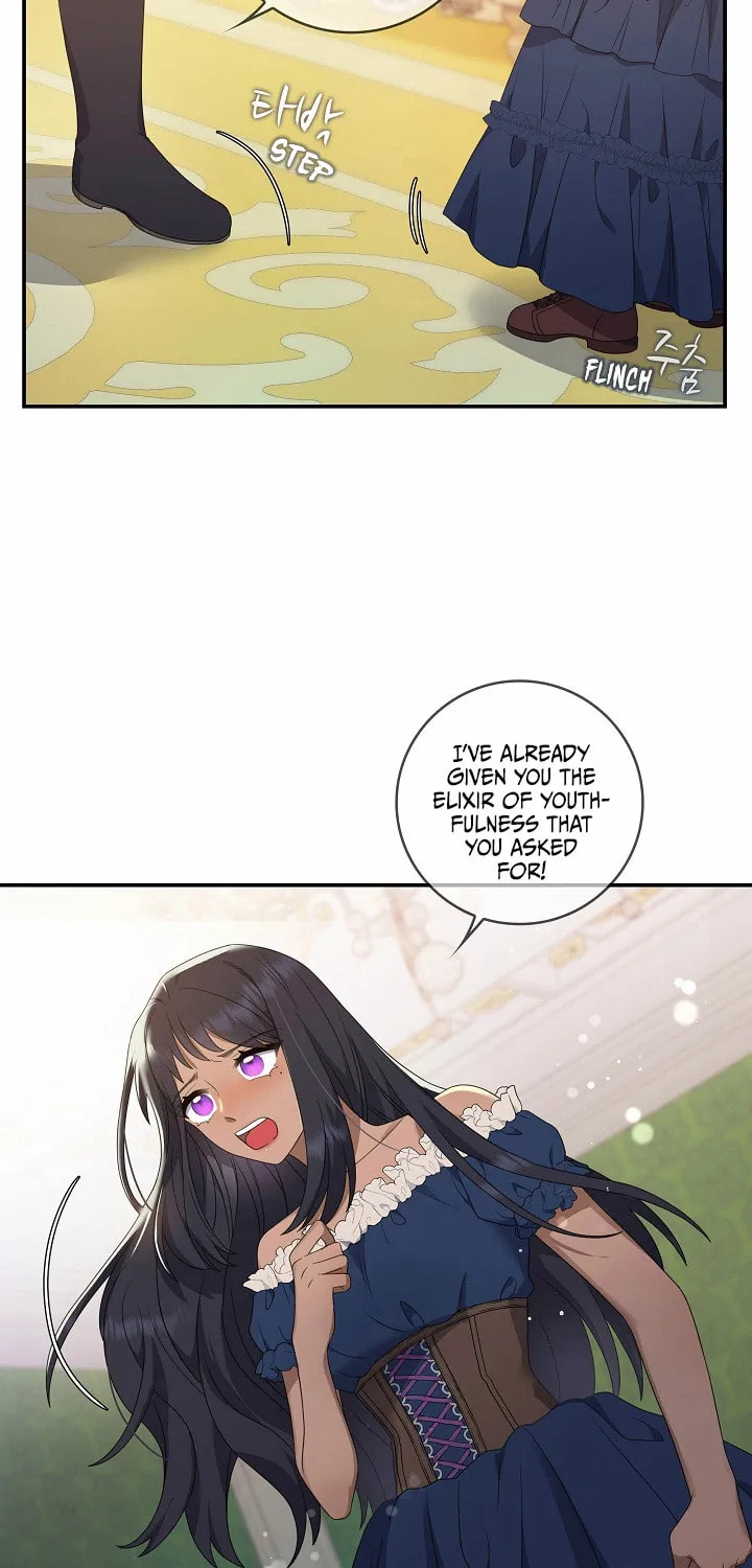 Two Sides of the Princess Chapter 18 page 25 - 