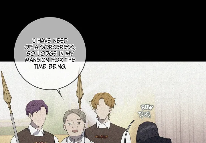 Two Sides of the Princess Chapter 18 page 29 - 