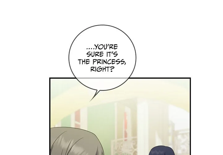 Two Sides of the Princess Chapter 19 page 3 - 