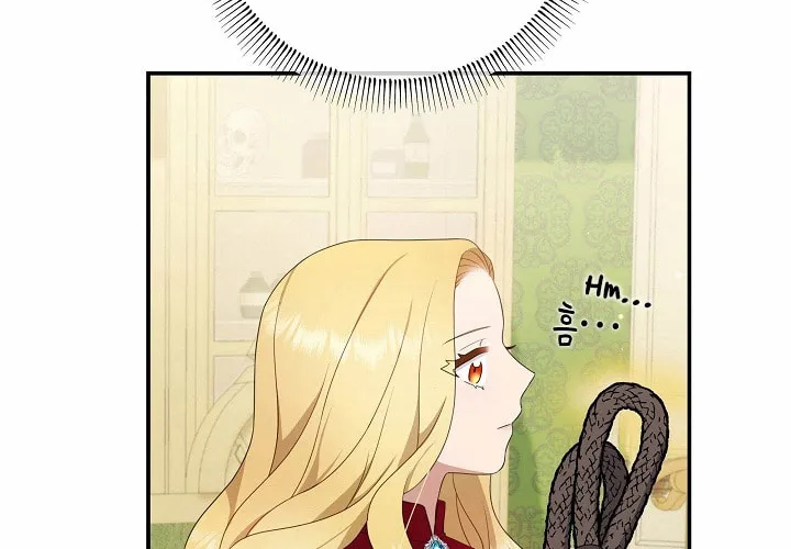 Two Sides of the Princess Chapter 19 page 31 - 