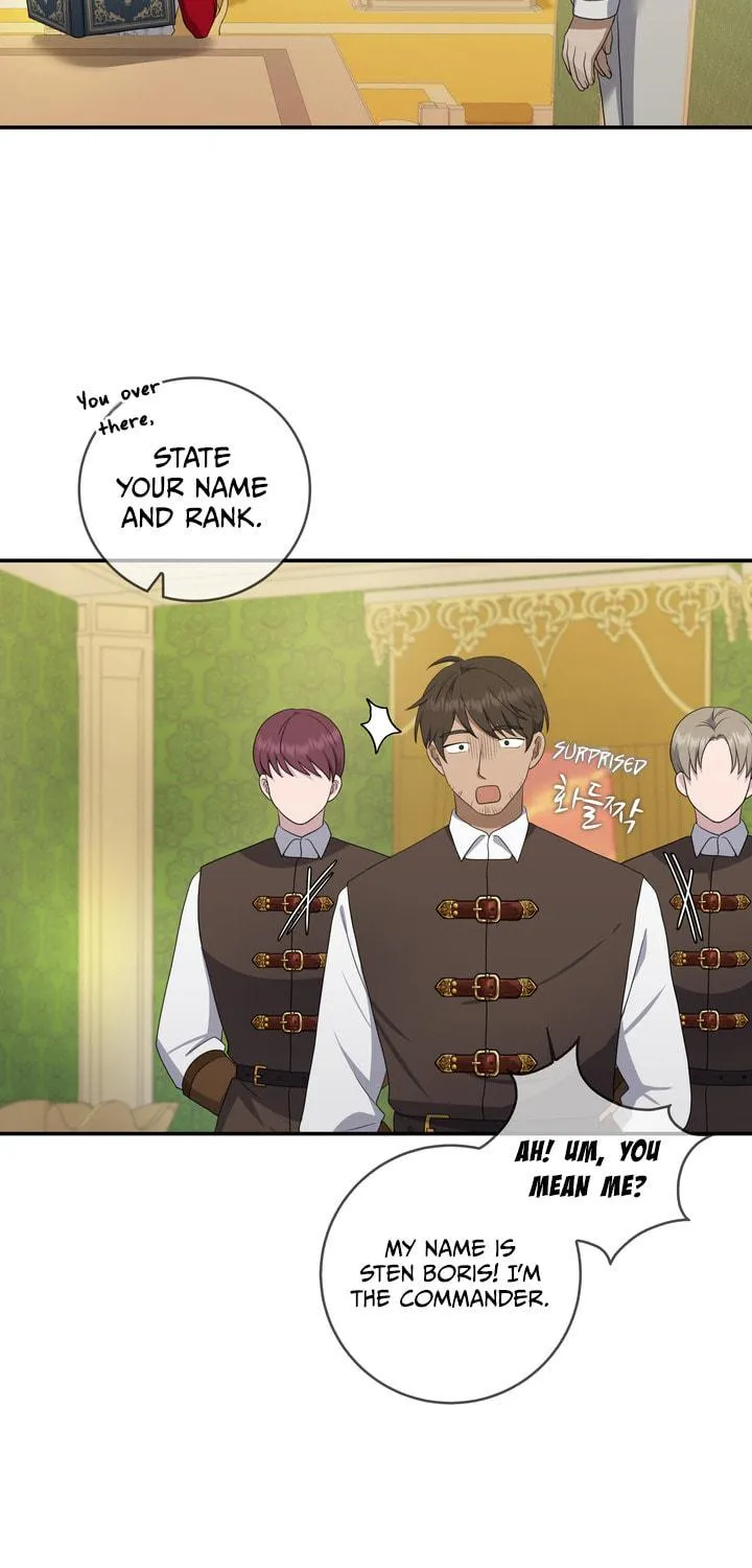 Two Sides of the Princess Chapter 20 page 15 - 