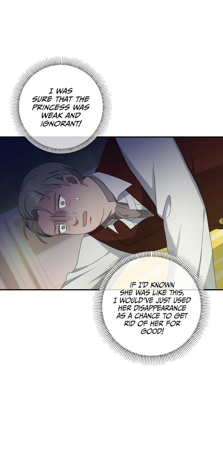 Two Sides of the Princess Chapter 20 page 41 - 