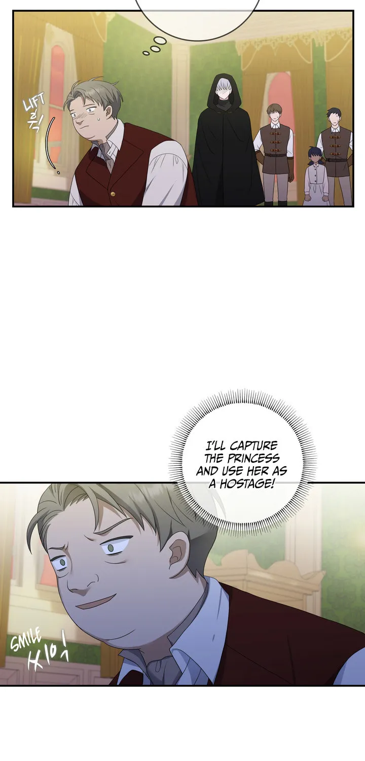 Two Sides of the Princess Chapter 20 page 47 - 