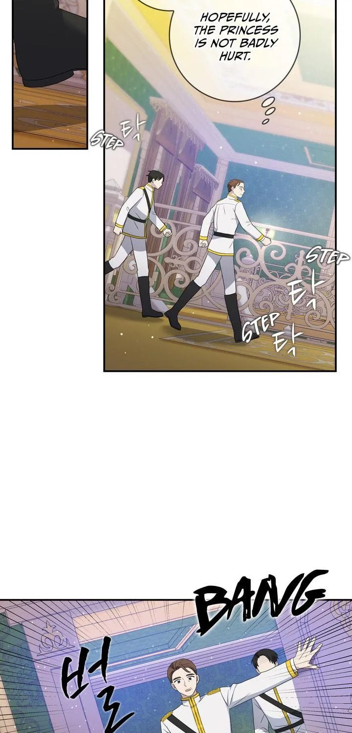Two Sides of the Princess Chapter 21 page 27 - 