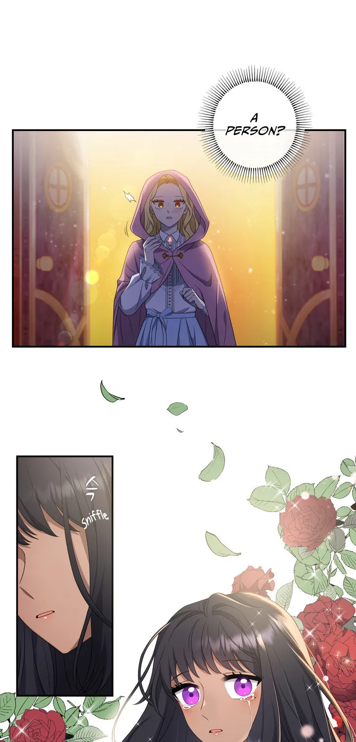 Two Sides of the Princess Chapter 21 page 63 - 