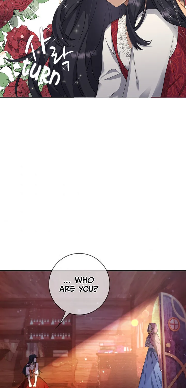 Two Sides of the Princess Chapter 21 page 64 - 