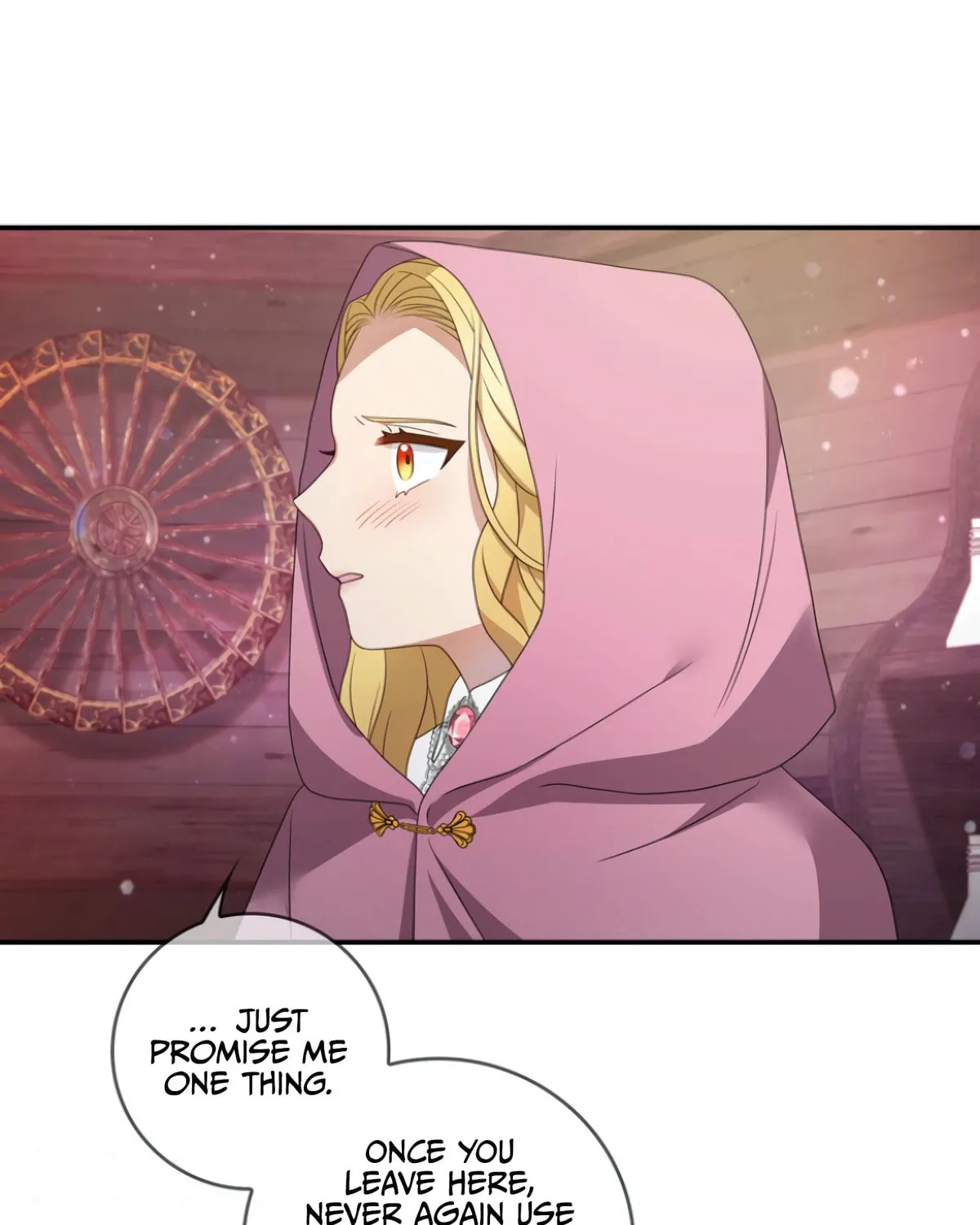 Two Sides of the Princess Chapter 22 page 109 - 