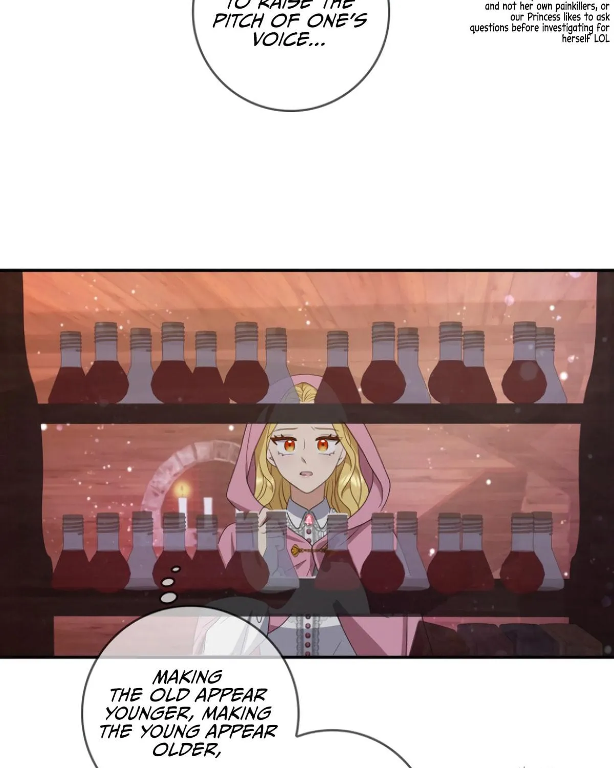 Two Sides of the Princess Chapter 22 page 36 - 