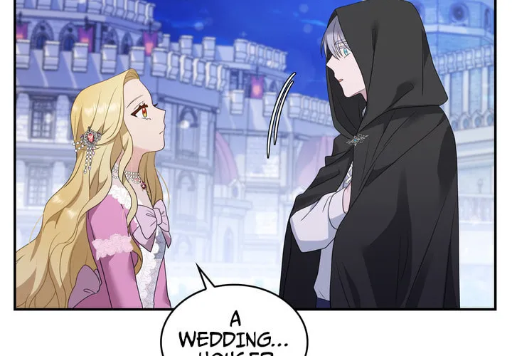 Two Sides of the Princess Chapter 27 page 24 - 