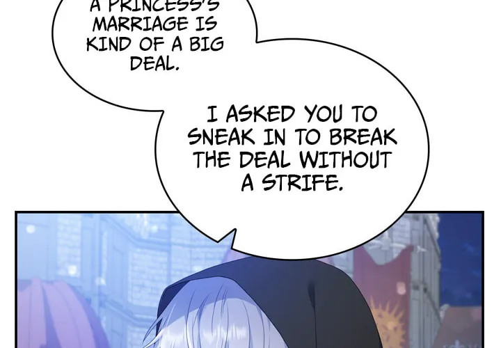 Two Sides of the Princess Chapter 27 page 26 - 
