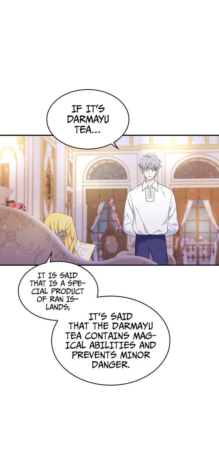 Two Sides of the Princess Chapter 27 page 36 - 