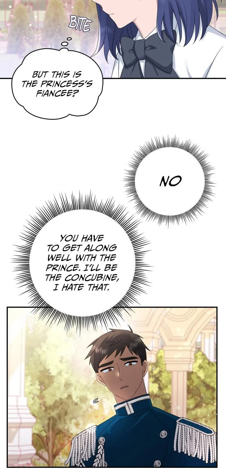 Two Sides of the Princess Chapter 28 page 66 - 