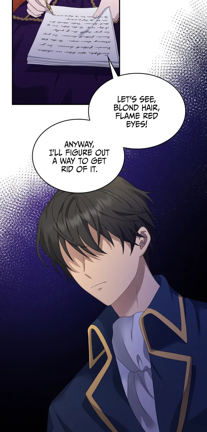 Two Sides of the Princess Chapter 29 page 12 - 