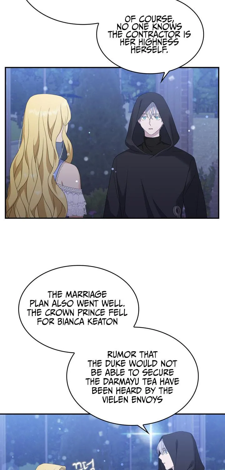 Two Sides of the Princess Chapter 29 page 17 - 