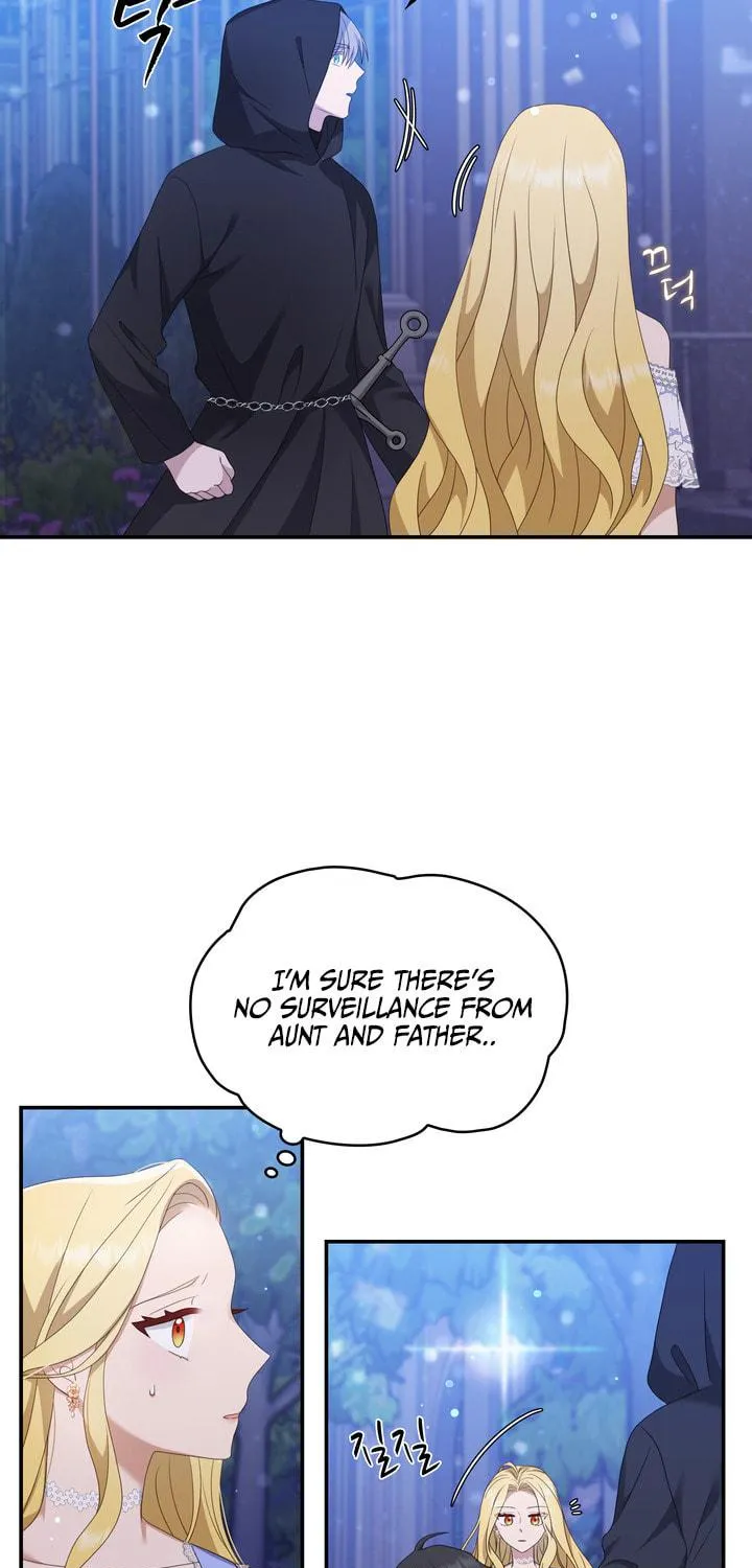 Two Sides of the Princess Chapter 29 page 36 - 