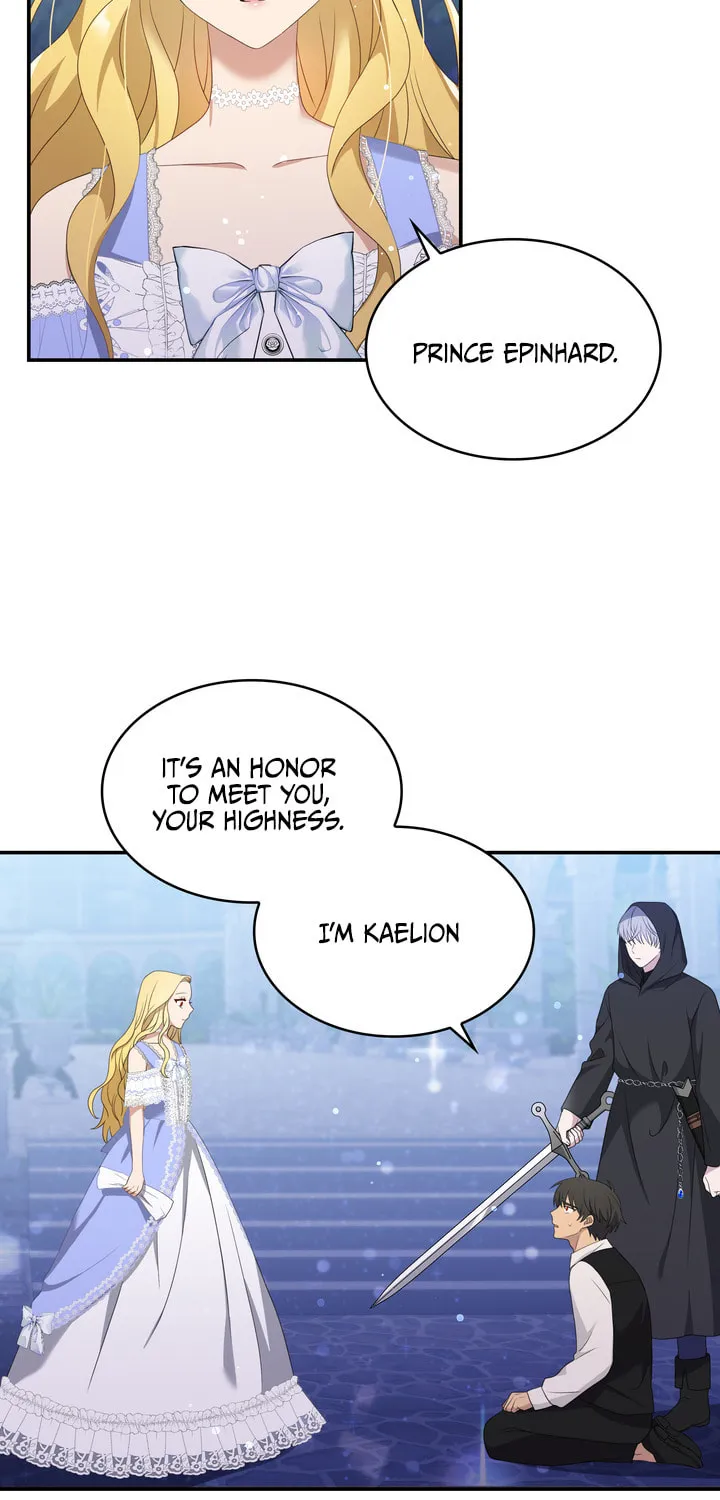 Two Sides of the Princess Chapter 29 page 42 - 
