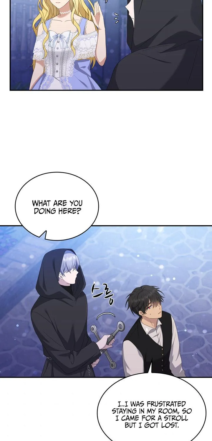 Two Sides of the Princess Chapter 29 page 44 - 