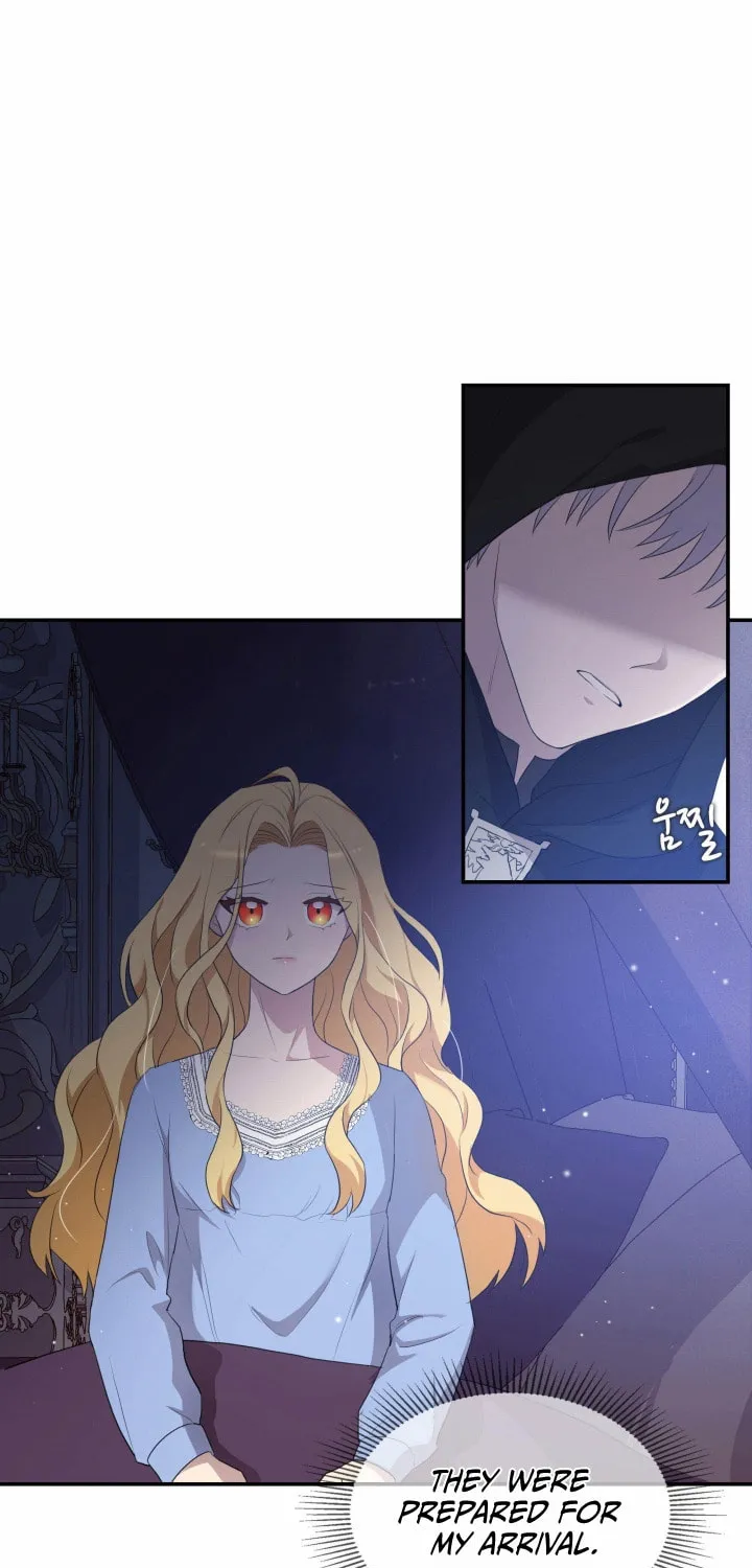 Two Sides of the Princess Chapter 3 page 37 - 