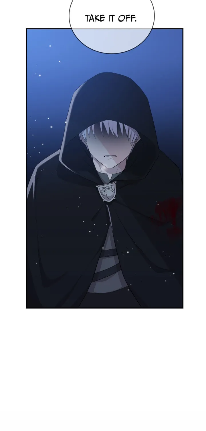 Two Sides of the Princess Chapter 3 page 47 - 
