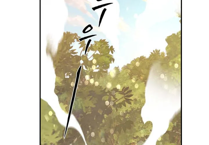 Two Sides of the Princess Chapter 30 page 70 - 
