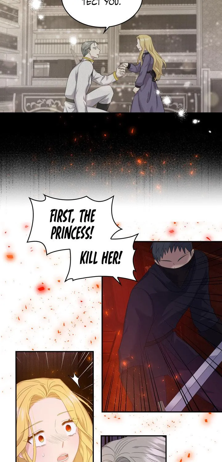 Two Sides of the Princess Chapter 35 page 64 - 
