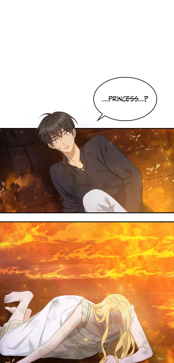 Two Sides of the Princess Chapter 36 page 13 - 