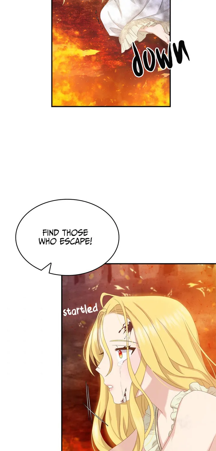Two Sides of the Princess Chapter 36 page 30 - 