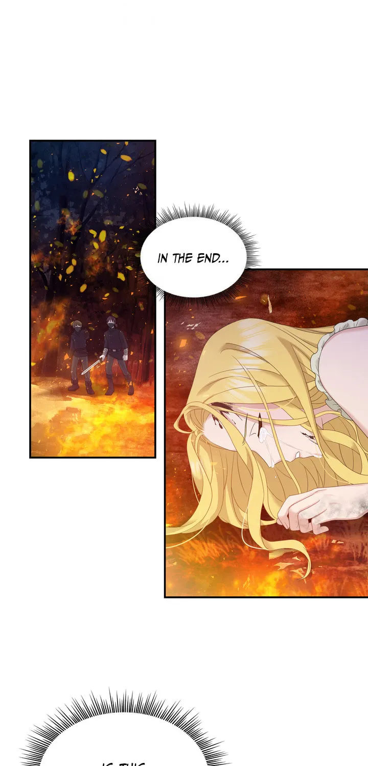 Two Sides of the Princess Chapter 36 page 33 - 