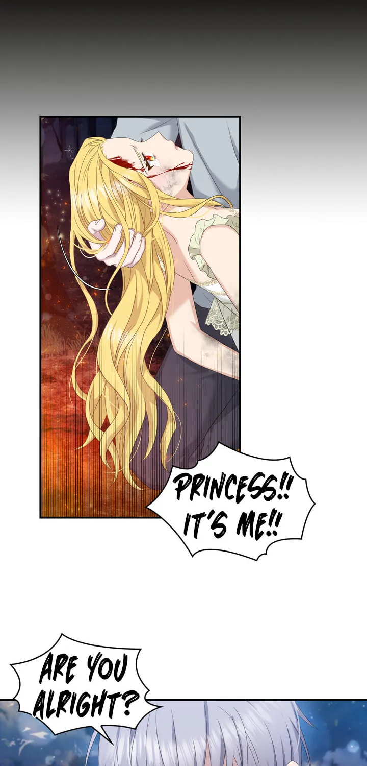 Two Sides of the Princess Chapter 36 page 36 - 