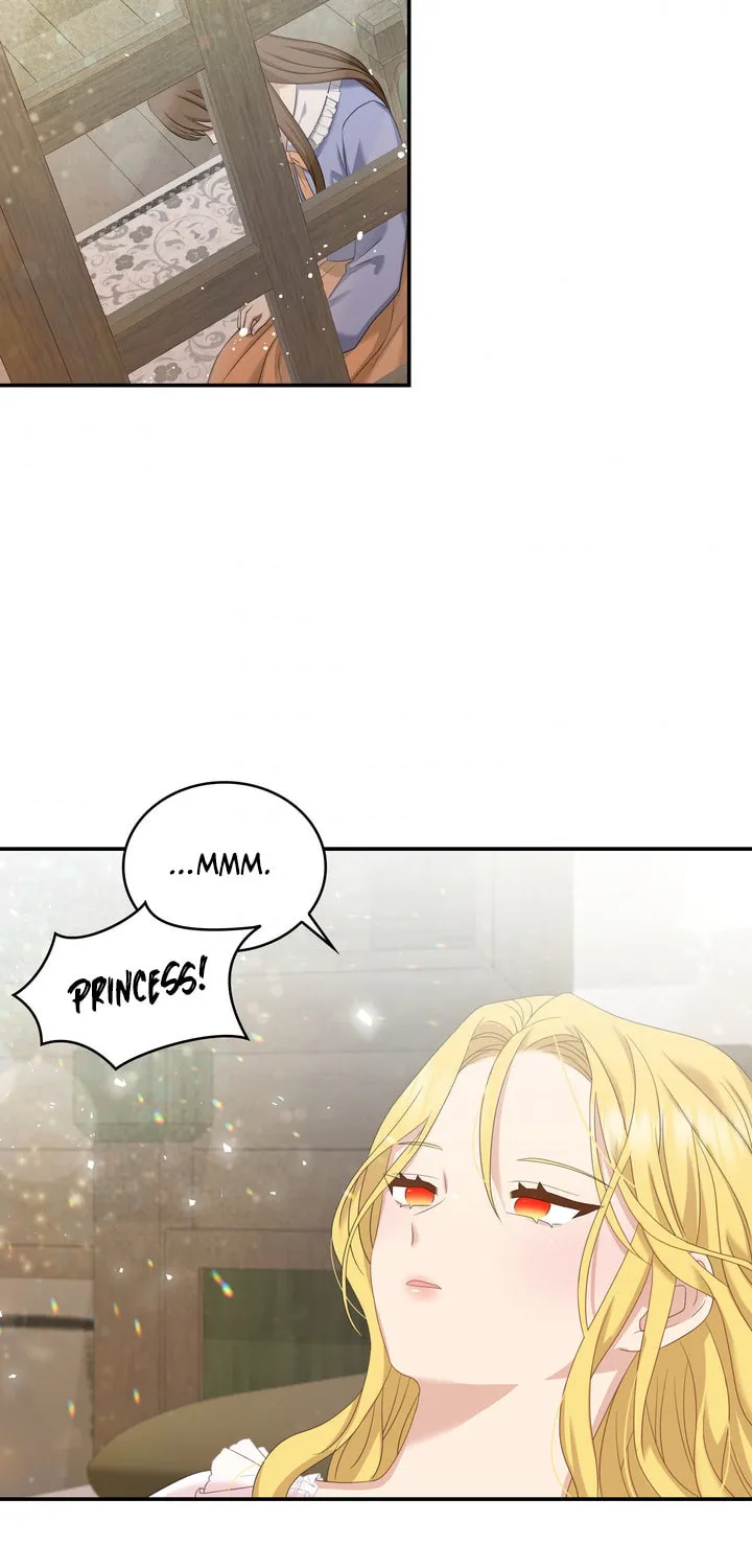 Two Sides of the Princess Chapter 36 page 40 - 