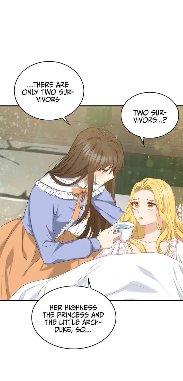 Two Sides of the Princess Chapter 36 page 45 - 
