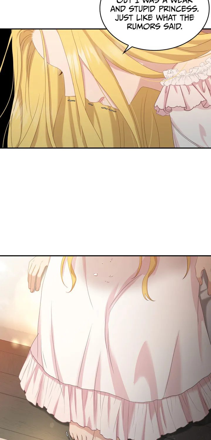 Two Sides of the Princess Chapter 37 page 17 - 