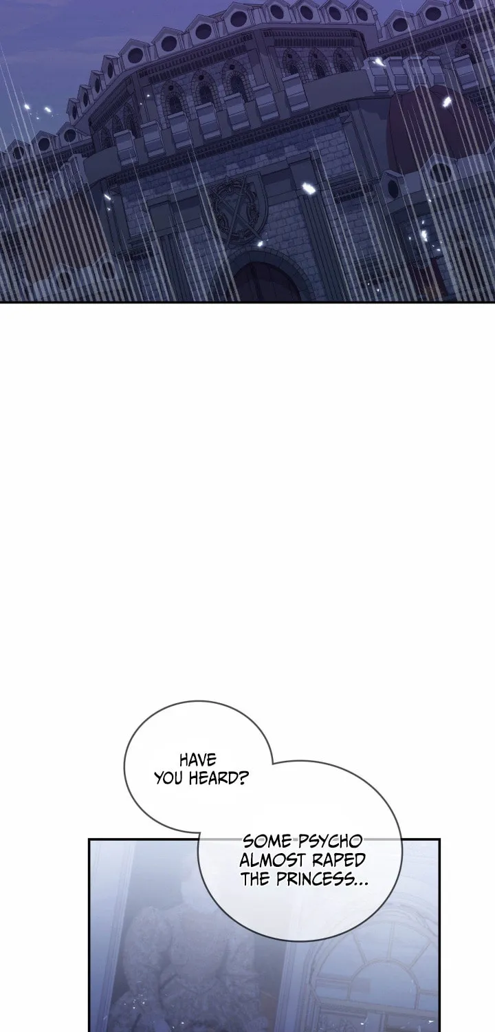 Two Sides of the Princess Chapter 4 page 26 - 