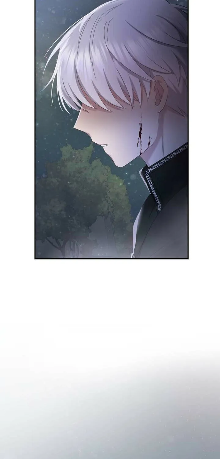 Two Sides of the Princess Chapter 42 page 29 - 