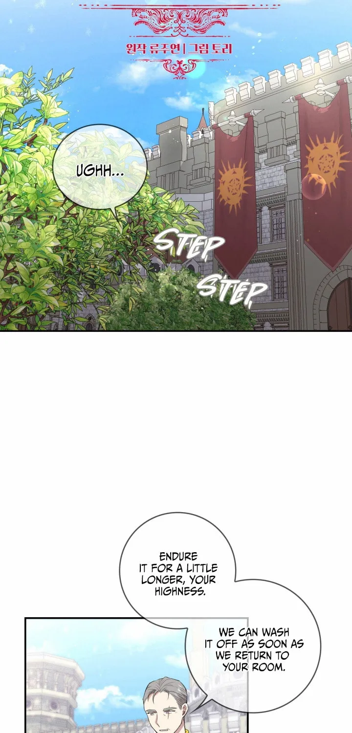 Two Sides of the Princess Chapter 5 page 17 - 