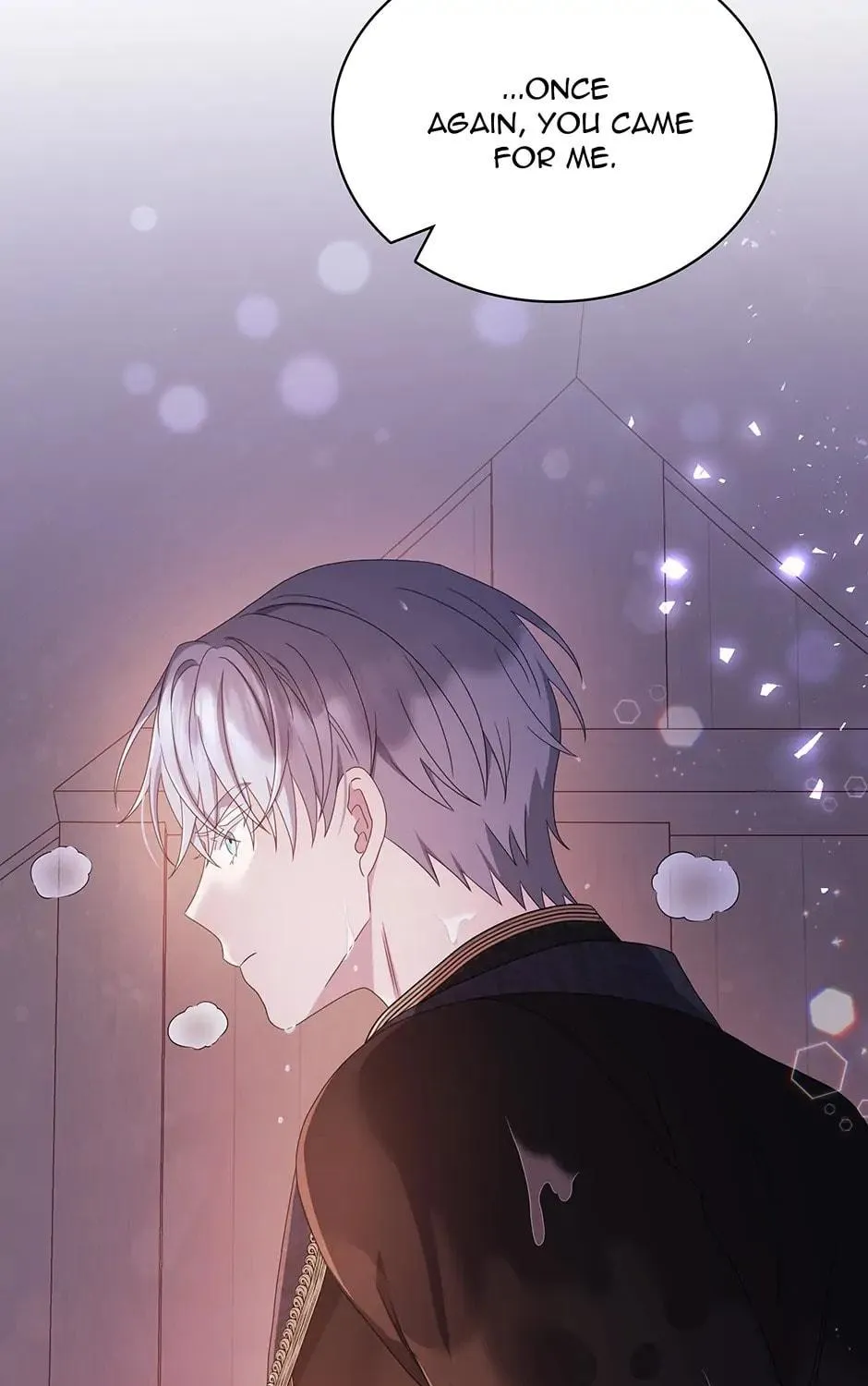 Two Sides of the Princess Chapter 67 page 4 - 