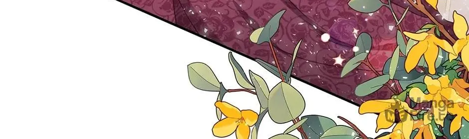 Two Sides of the Princess Chapter 69 page 71 - 