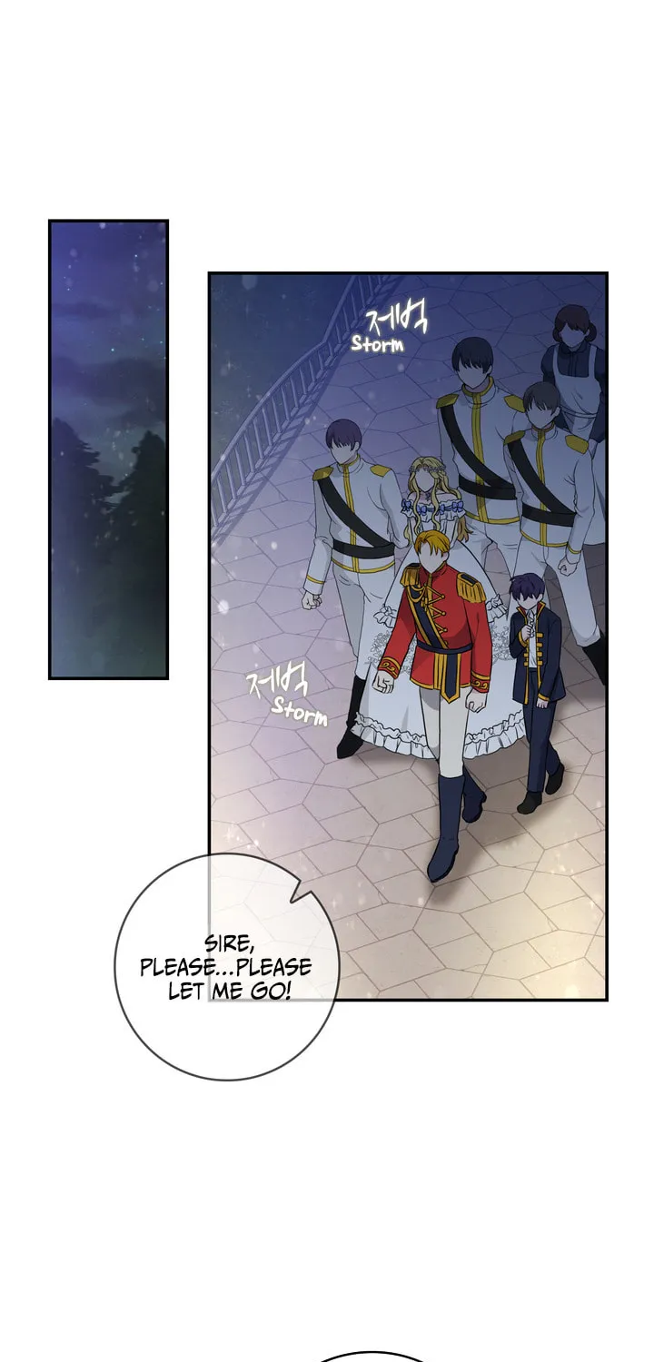 Two Sides of the Princess Chapter 8 page 23 - 