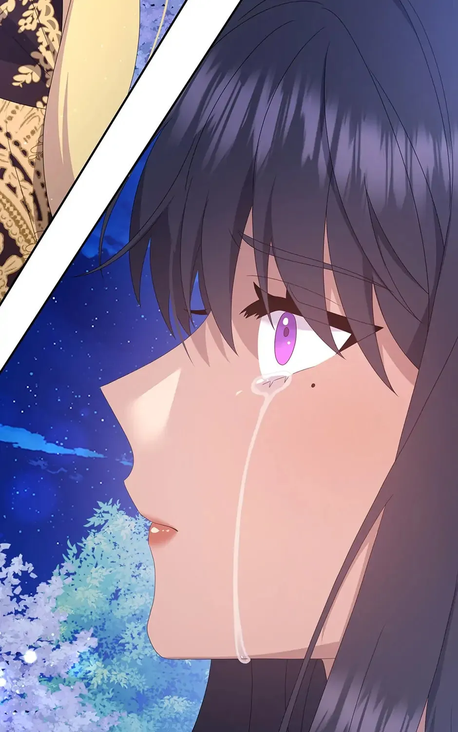 Two Sides of the Princess Chapter 94 page 6 - 