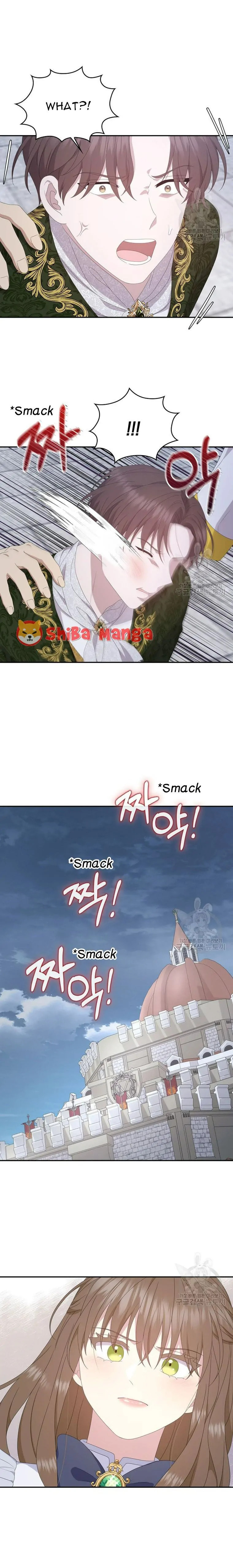 Two Sides of the Princess Chapter 99 page 20 - 