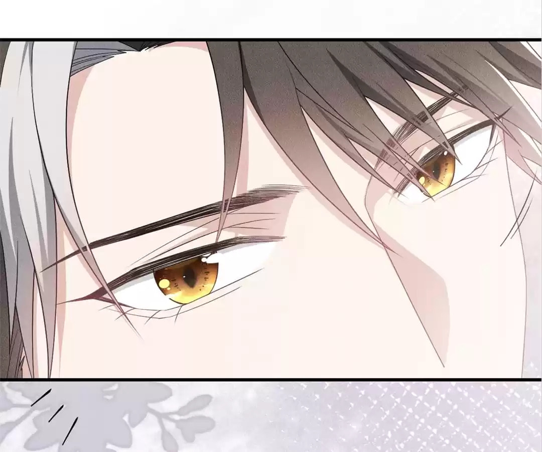 Read Tying up My Wolf (Colored) chapter 11 image 70 on Lezhin