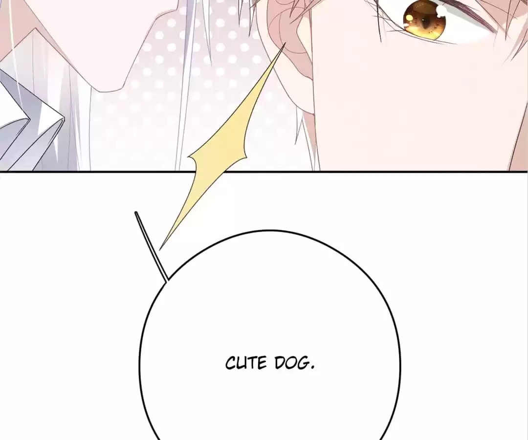 Read Tying up My Wolf (Colored) chapter 12 image 98 on Lezhin