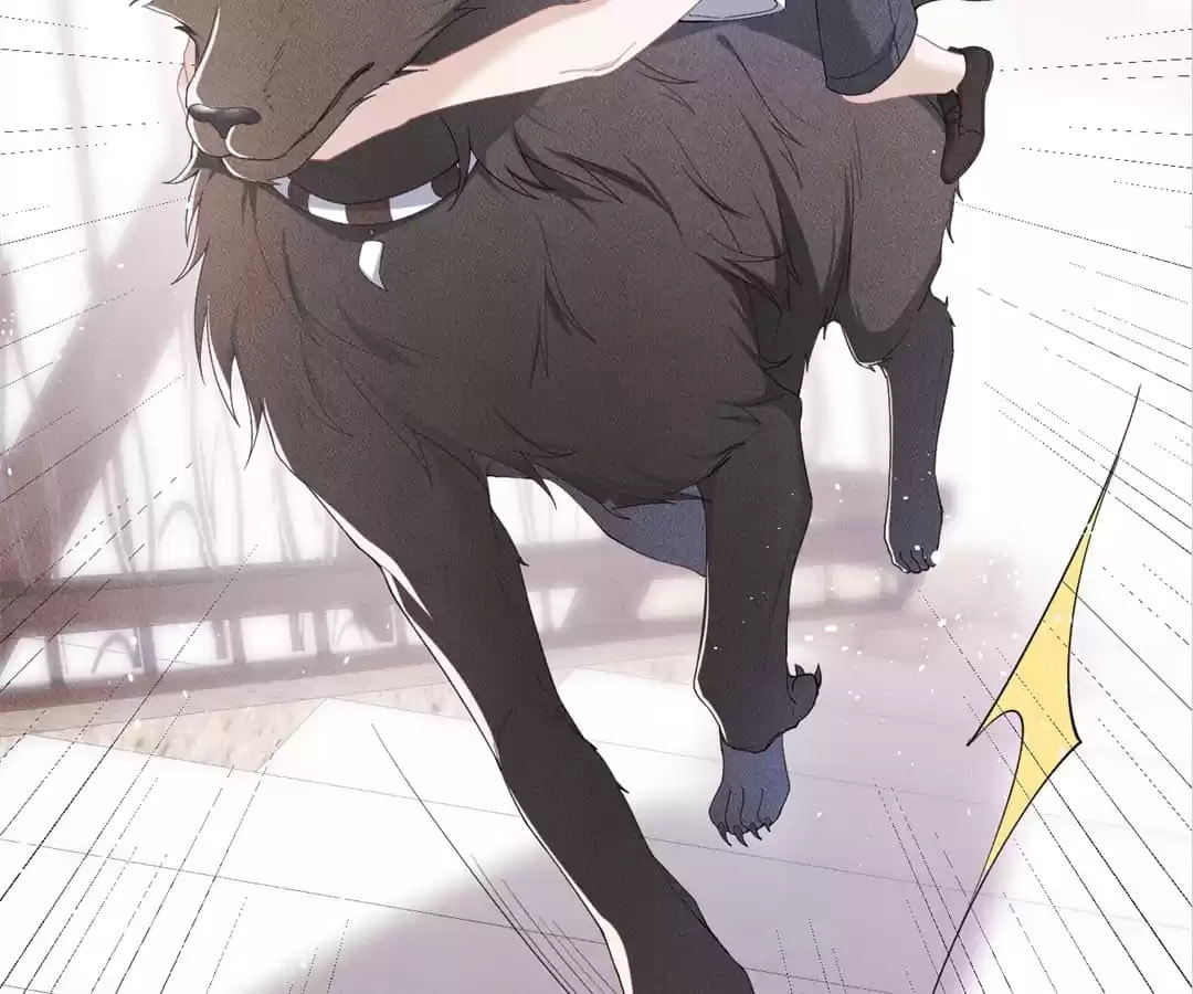 Read Tying up My Wolf (Colored) chapter 19 image 61 on Lezhin